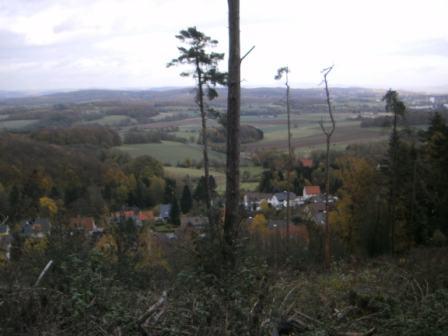 BILD0315