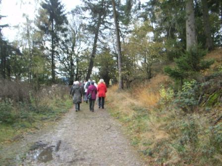 BILD0317