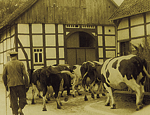 HirtenAbend